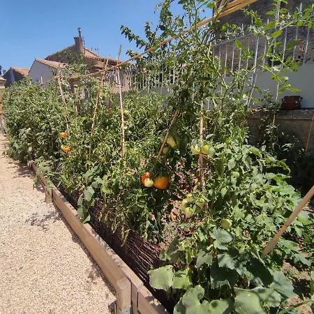 The Cottage, Clos Des Archers Aigues-Vives (Aude)