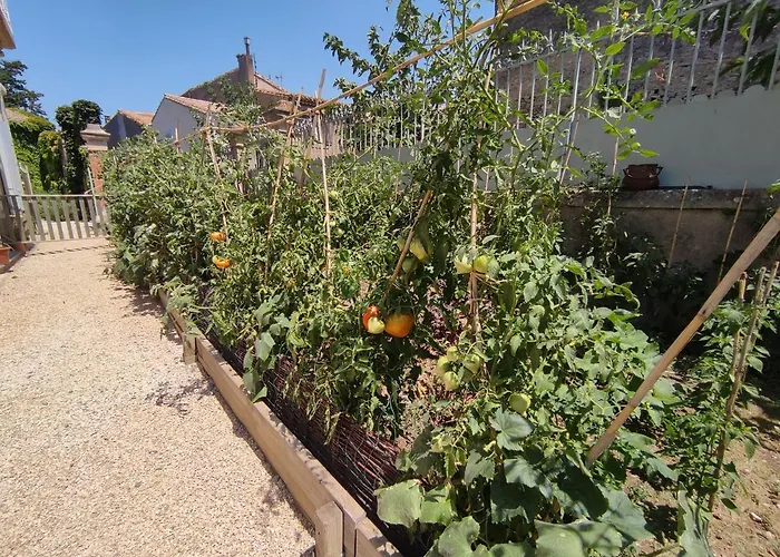 The Cottage, Clos Des Archers Aigues-Vives (Aude)